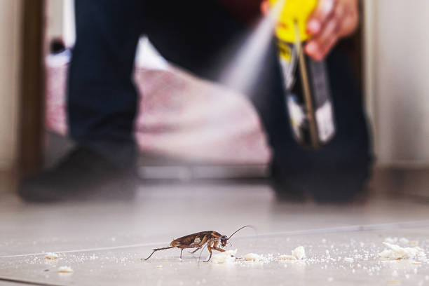 Professional Pest Control in Lake Barrington, IL